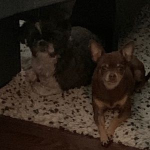 Meet your Posher, Tania